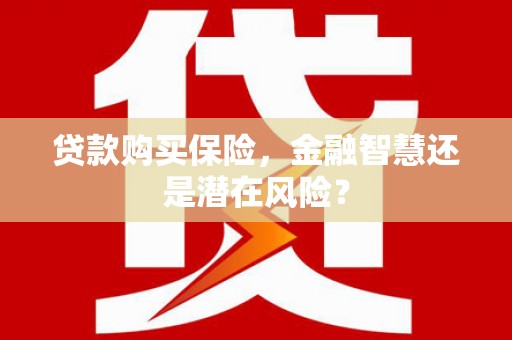 宝山贷款购买保险，金融智慧还是潜在风险？
