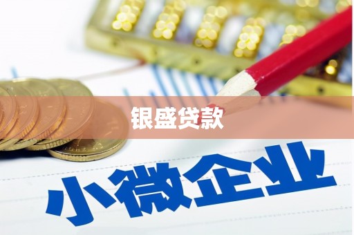 宝山银盛贷款