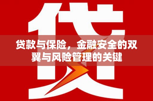宝山贷款与保险，金融安全的双翼与风险管理的关键