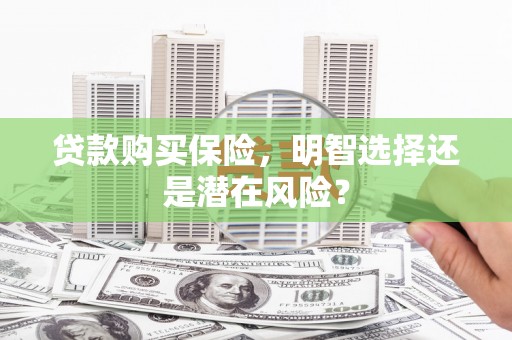 宝山贷款购买保险，明智选择还是潜在风险？