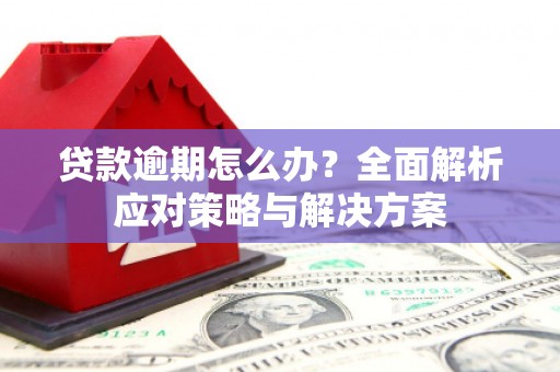 宝山贷款逾期怎么办？全面解析应对策略与解决方案