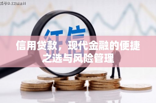 宝山信用贷款，现代金融的便捷之选与风险管理