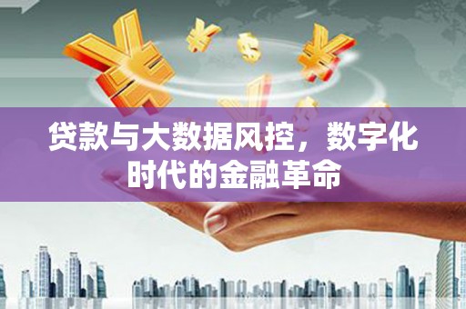 宝山贷款与大数据风控，数字化时代的金融革命