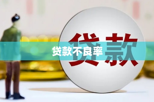 宝山贷款不良率