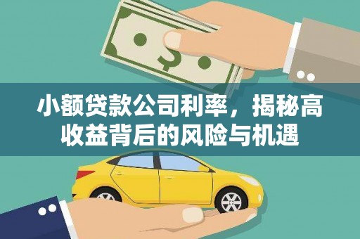 宝山小额贷款公司利率，揭秘高收益背后的风险与机遇