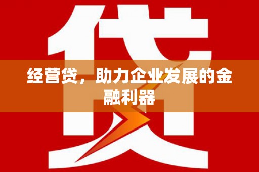 宝山经营贷，助力企业发展的金融利器