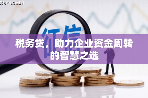 宝山税务贷，助力企业资金周转的智慧之选