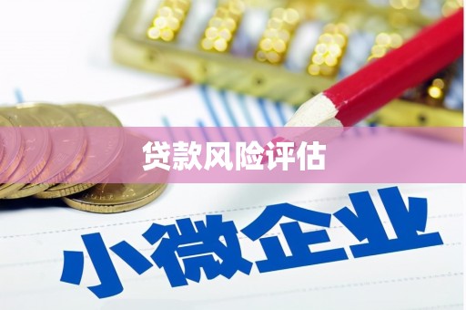 宝山贷款风险评估