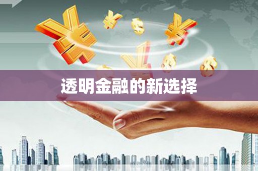 宝山透明金融的新选择