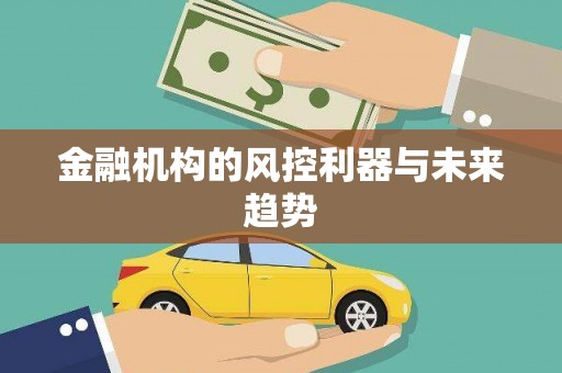 宝山金融机构的风控利器与未来趋势