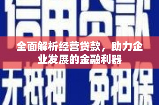 宝山全面解析经营贷款，助力企业发展的金融利器