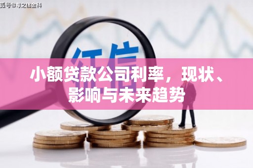 宝山小额贷款公司利率，现状、影响与未来趋势