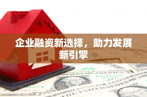 宝山企业融资新选择，助力发展新引擎