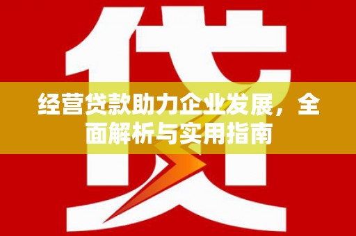 宝山经营贷款助力企业发展，全面解析与实用指南