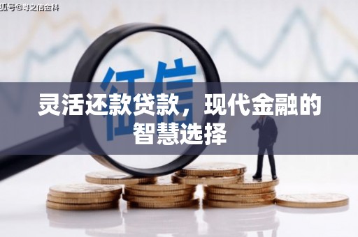 宝山灵活还款贷款，现代金融的智慧选择