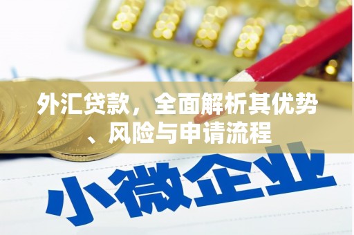 宝山外汇贷款，全面解析其优势、风险与申请流程