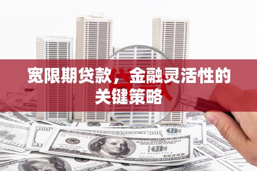 宝山宽限期贷款，金融灵活性的关键策略