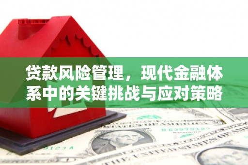 宝山贷款风险管理，现代金融体系中的关键挑战与应对策略