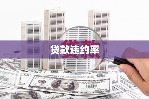 宝山贷款违约率