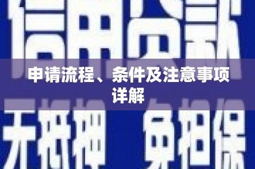 宝山申请流程、条件及注意事项详解