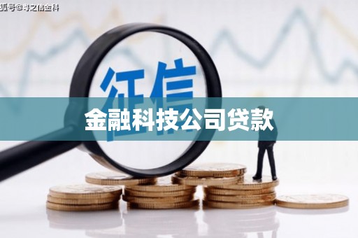 宝山金融科技公司贷款