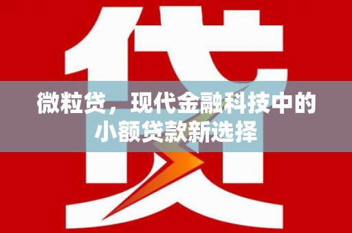 宝山微粒贷，现代金融科技中的小额贷款新选择