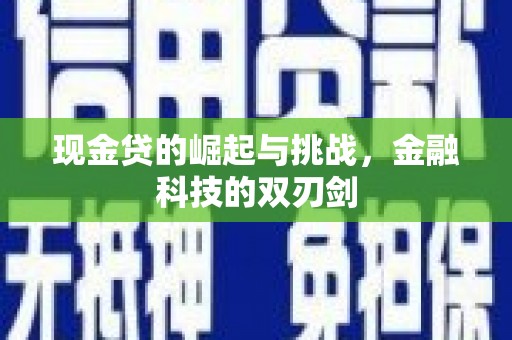 宝山现金贷的崛起与挑战，金融科技的双刃剑