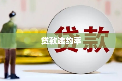 宝山贷款违约率