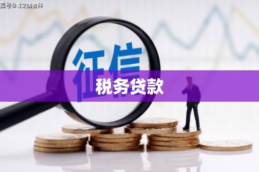 宝山税务贷款