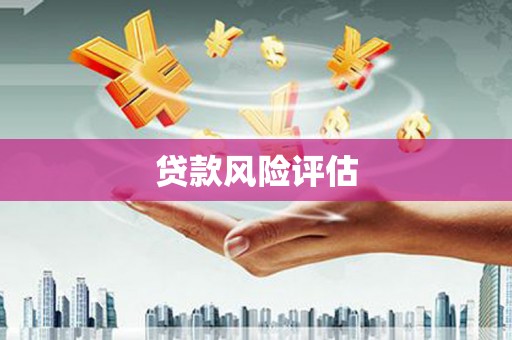 宝山贷款风险评估