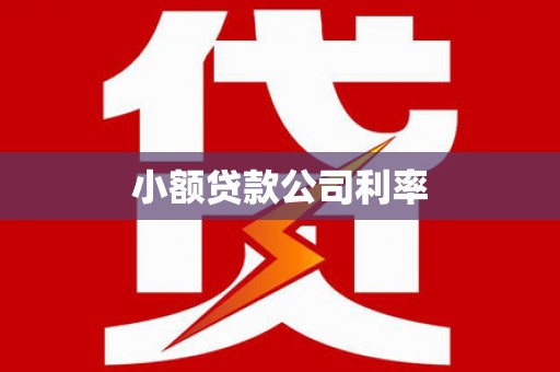 宝山小额贷款公司利率