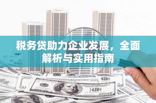 宝山税务贷助力企业发展，全面解析与实用指南