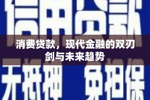 宝山消费贷款，现代金融的双刃剑与未来趋势