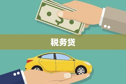 宝山税务贷
