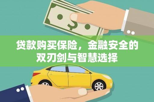 宝山贷款购买保险，金融安全的双刃剑与智慧选择