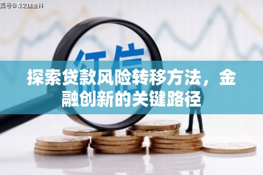 宝山探索贷款风险转移方法，金融创新的关键路径