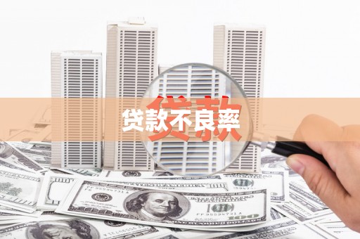 宝山贷款不良率