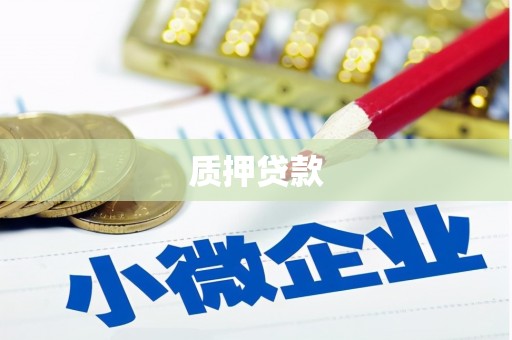 宝山质押贷款