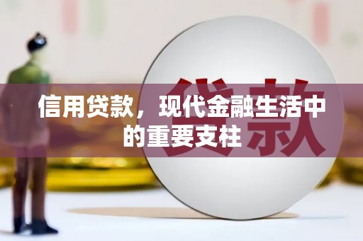宝山信用贷款，现代金融生活中的重要支柱