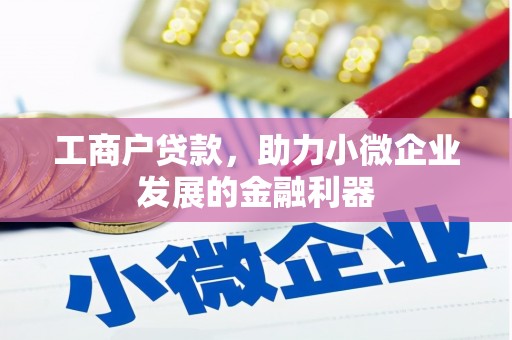 宝山工商户贷款，助力小微企业发展的金融利器