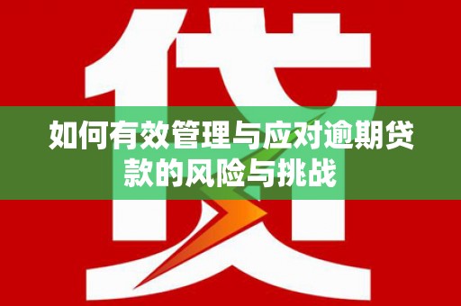 宝山如何有效管理与应对逾期贷款的风险与挑战