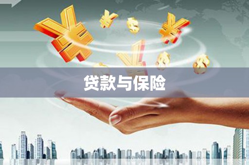 宝山贷款与保险