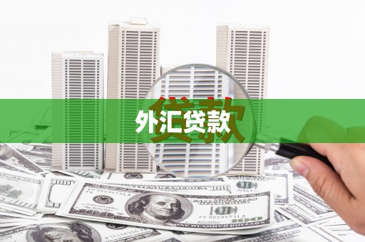 宝山外汇贷款