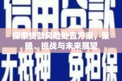 宝山探索贷款风险处置方案，策略、挑战与未来展望