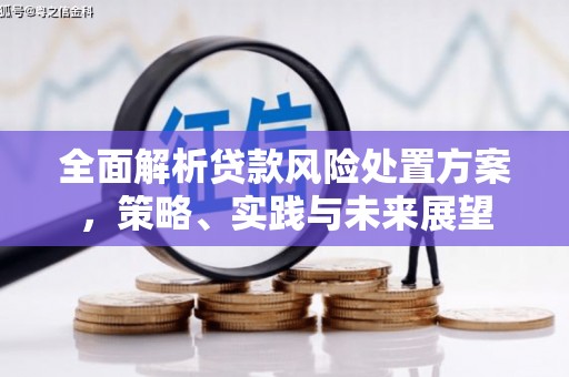宝山全面解析贷款风险处置方案，策略、实践与未来展望
