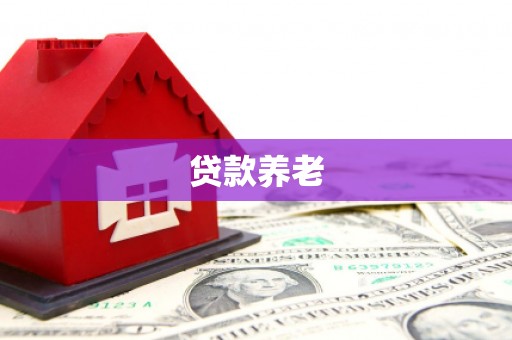 宝山贷款养老