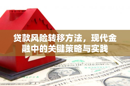 宝山贷款风险转移方法，现代金融中的关键策略与实践