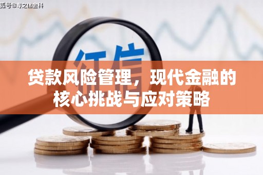 宝山贷款风险管理，现代金融的核心挑战与应对策略