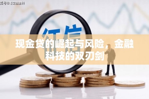 宝山现金贷的崛起与风险，金融科技的双刃剑