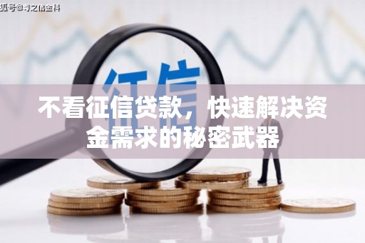 宝山不看征信贷款，快速解决资金需求的秘密武器